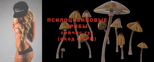 трава Лихославль