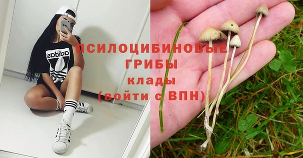 бошки Лиски
