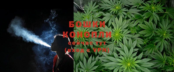 бошки Лиски