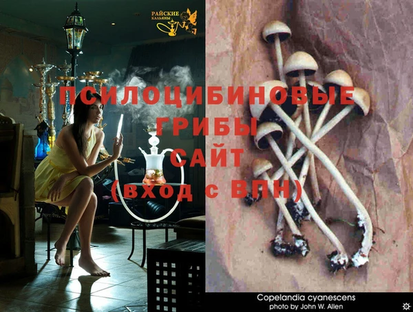бошки Лиски