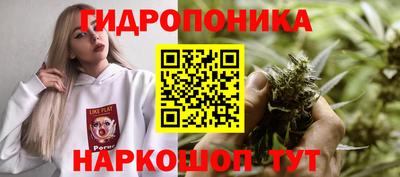 стафф Комсомольск-на-Амуре