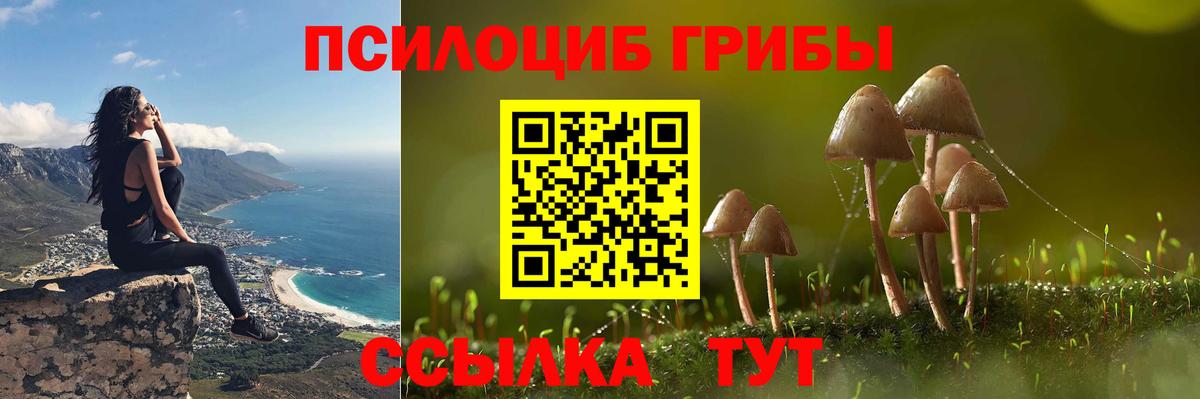 Псилоцибиновые грибы прущие грибы Феодосия